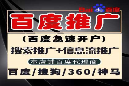 代理开户服务在海外投资中的应用案例